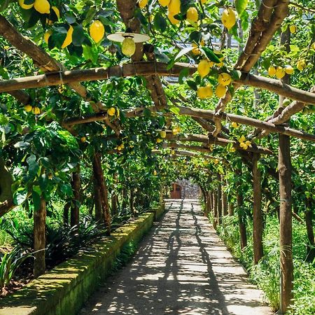 Agriturismo Il Giardino Di Vigliano マッサ・ルブレンセ エクステリア 写真