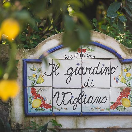 Agriturismo Il Giardino Di Vigliano マッサ・ルブレンセ エクステリア 写真