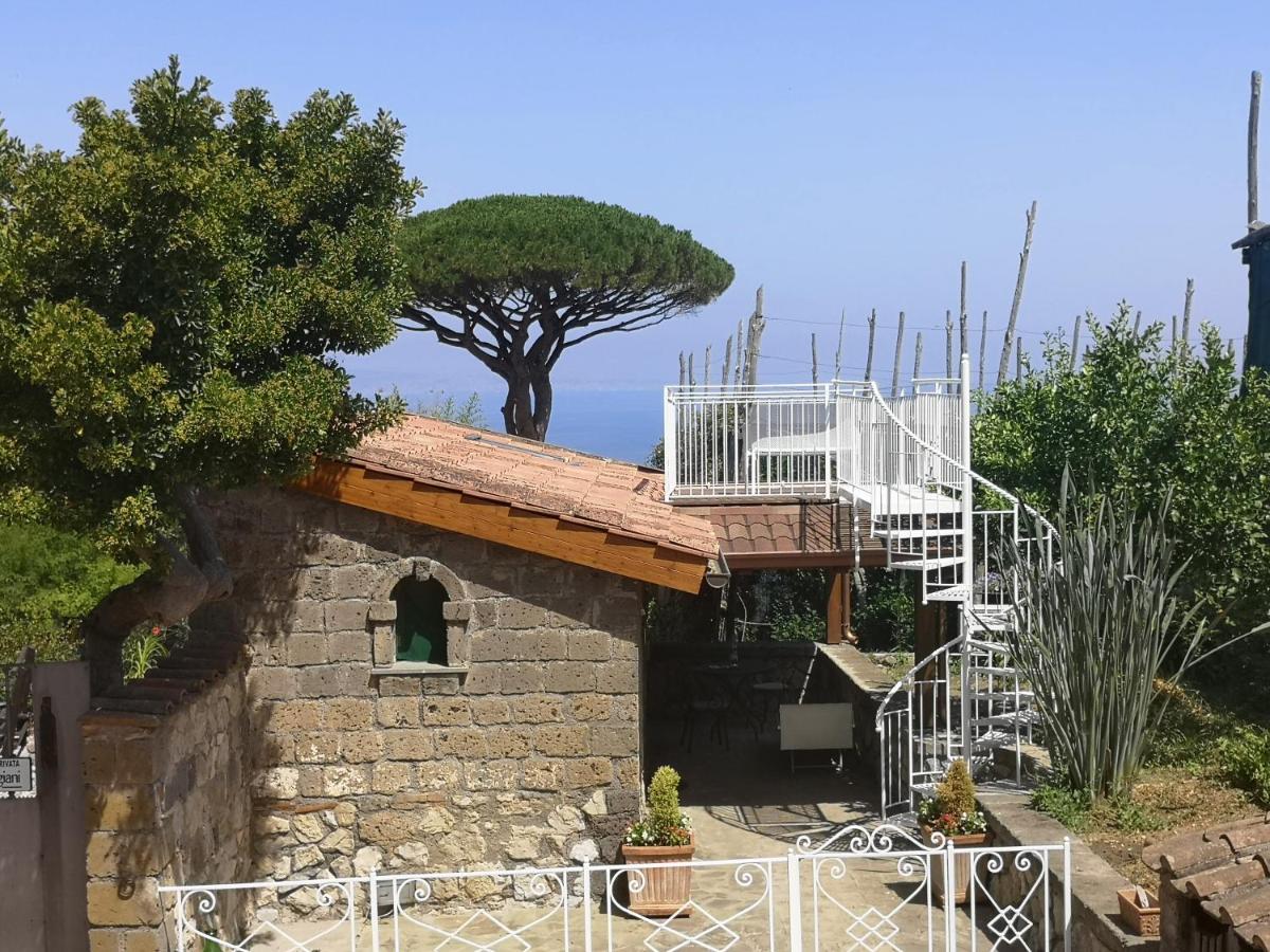 Agriturismo Il Giardino Di Vigliano マッサ・ルブレンセ エクステリア 写真