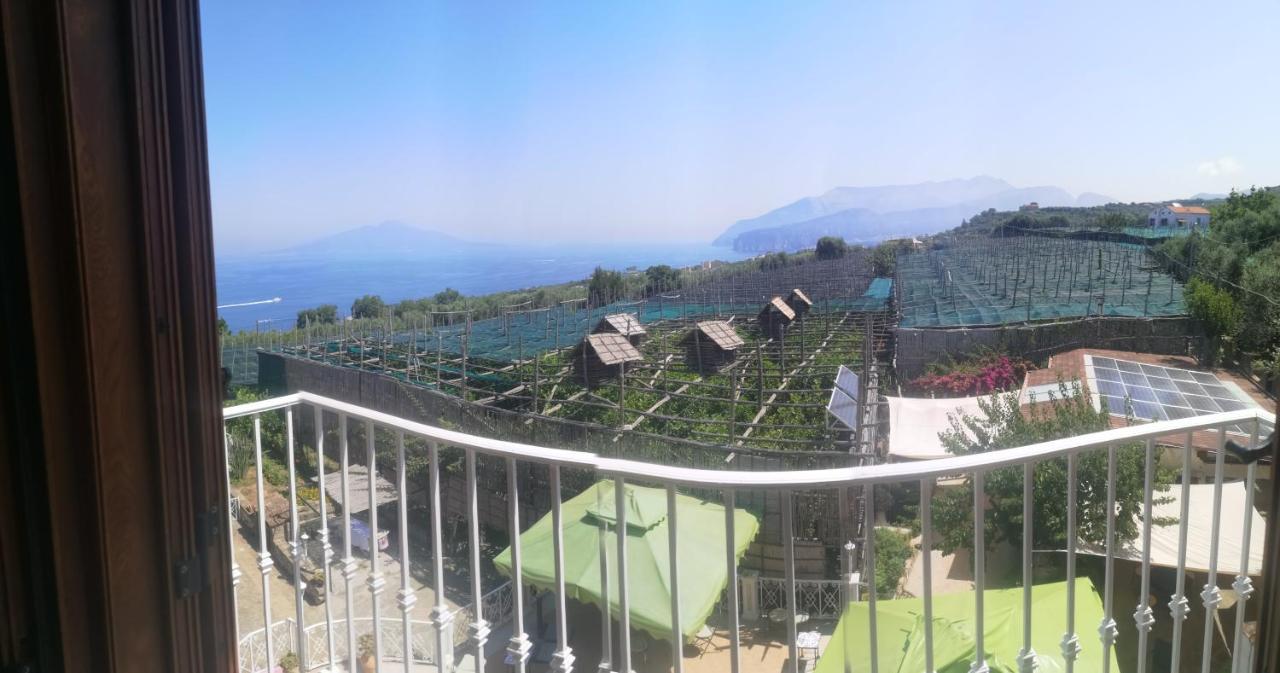 Agriturismo Il Giardino Di Vigliano マッサ・ルブレンセ エクステリア 写真
