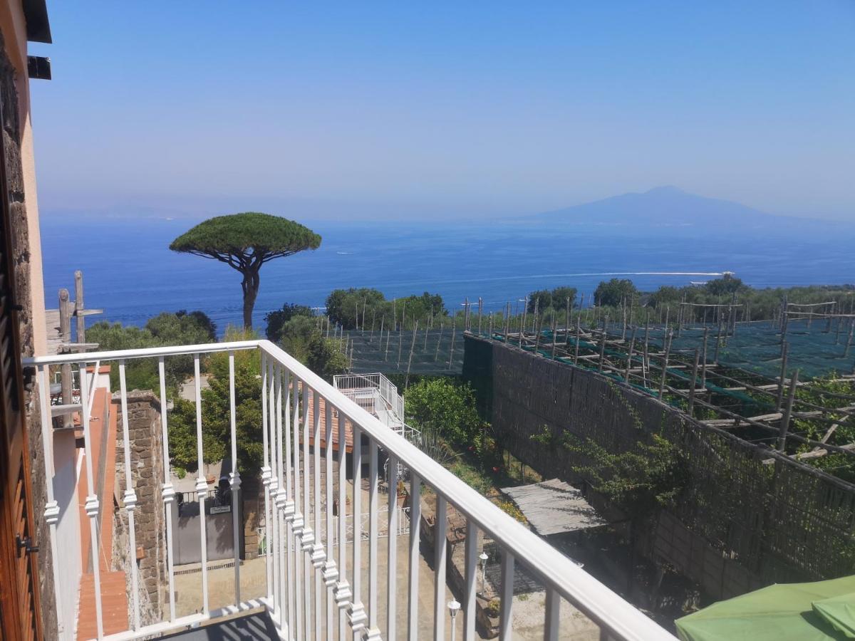 Agriturismo Il Giardino Di Vigliano マッサ・ルブレンセ エクステリア 写真