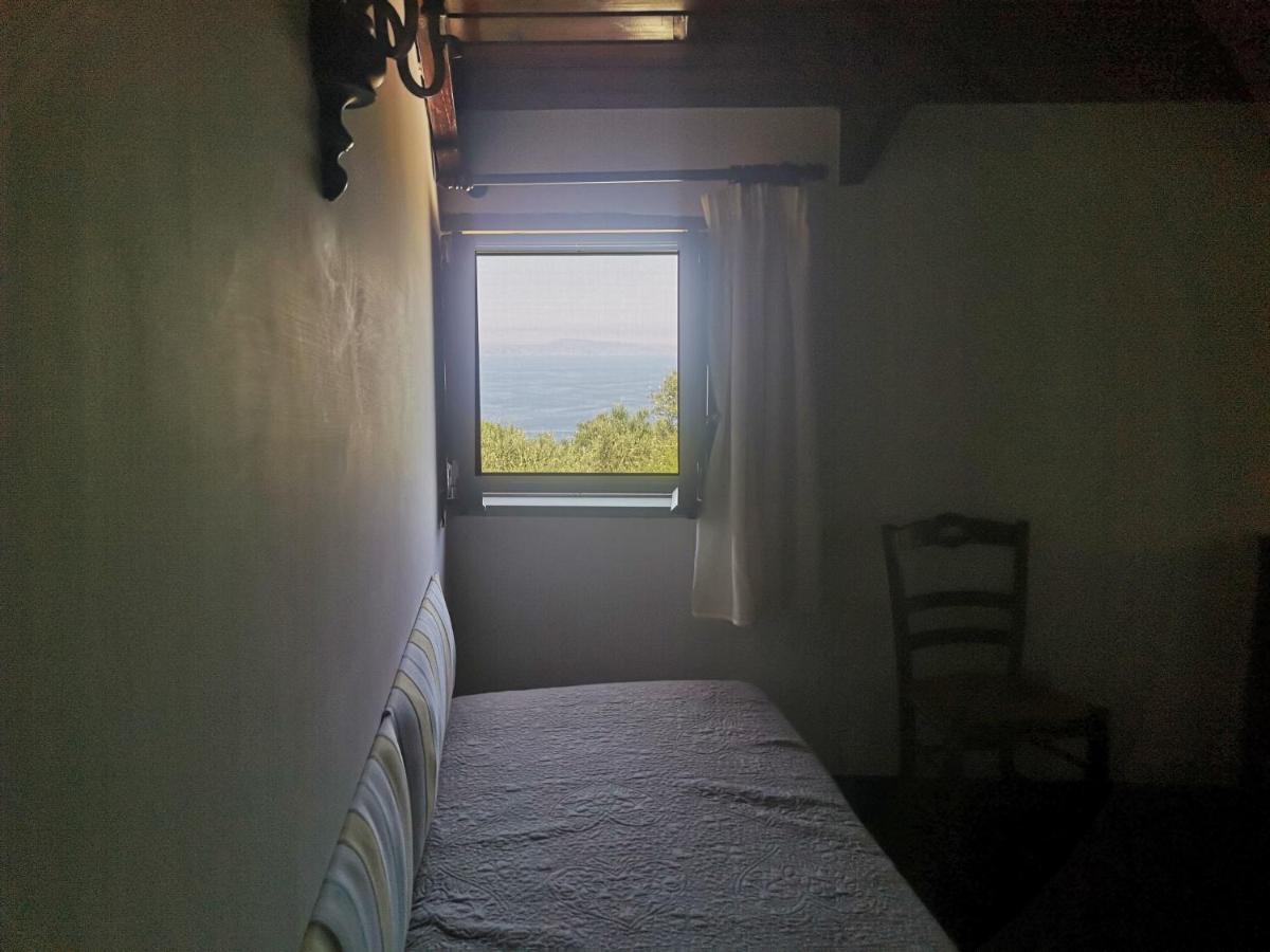 Agriturismo Il Giardino Di Vigliano マッサ・ルブレンセ エクステリア 写真