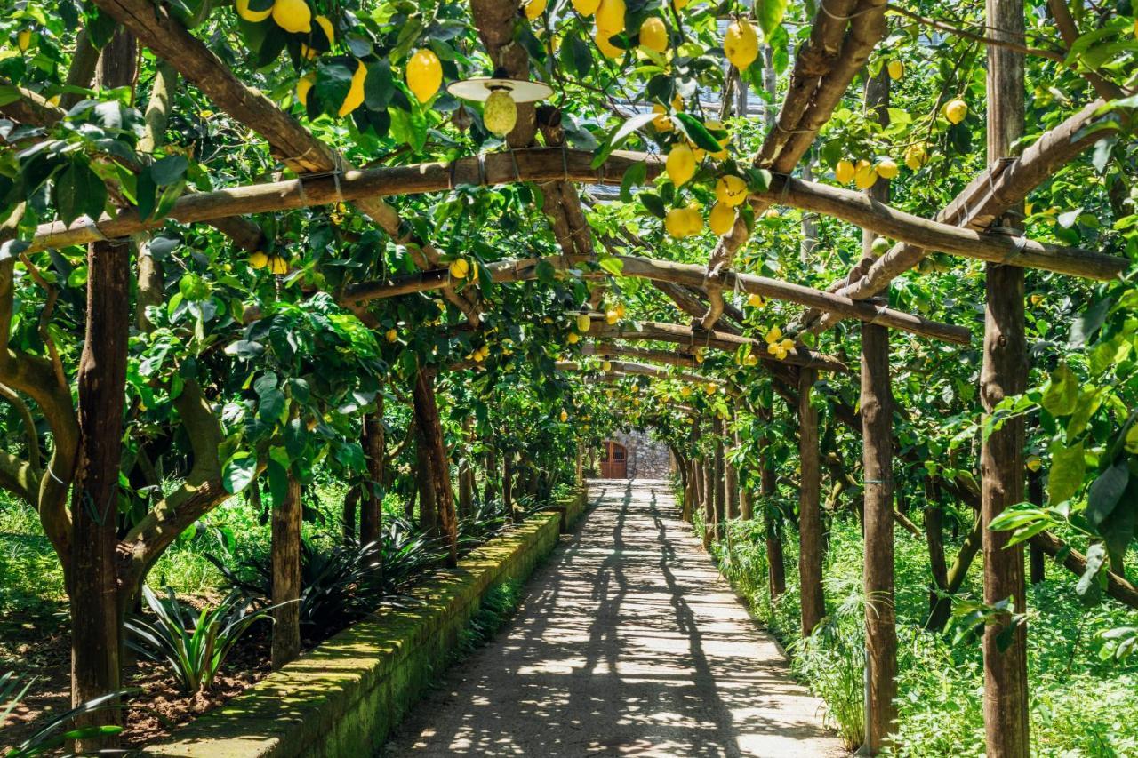 Agriturismo Il Giardino Di Vigliano マッサ・ルブレンセ エクステリア 写真